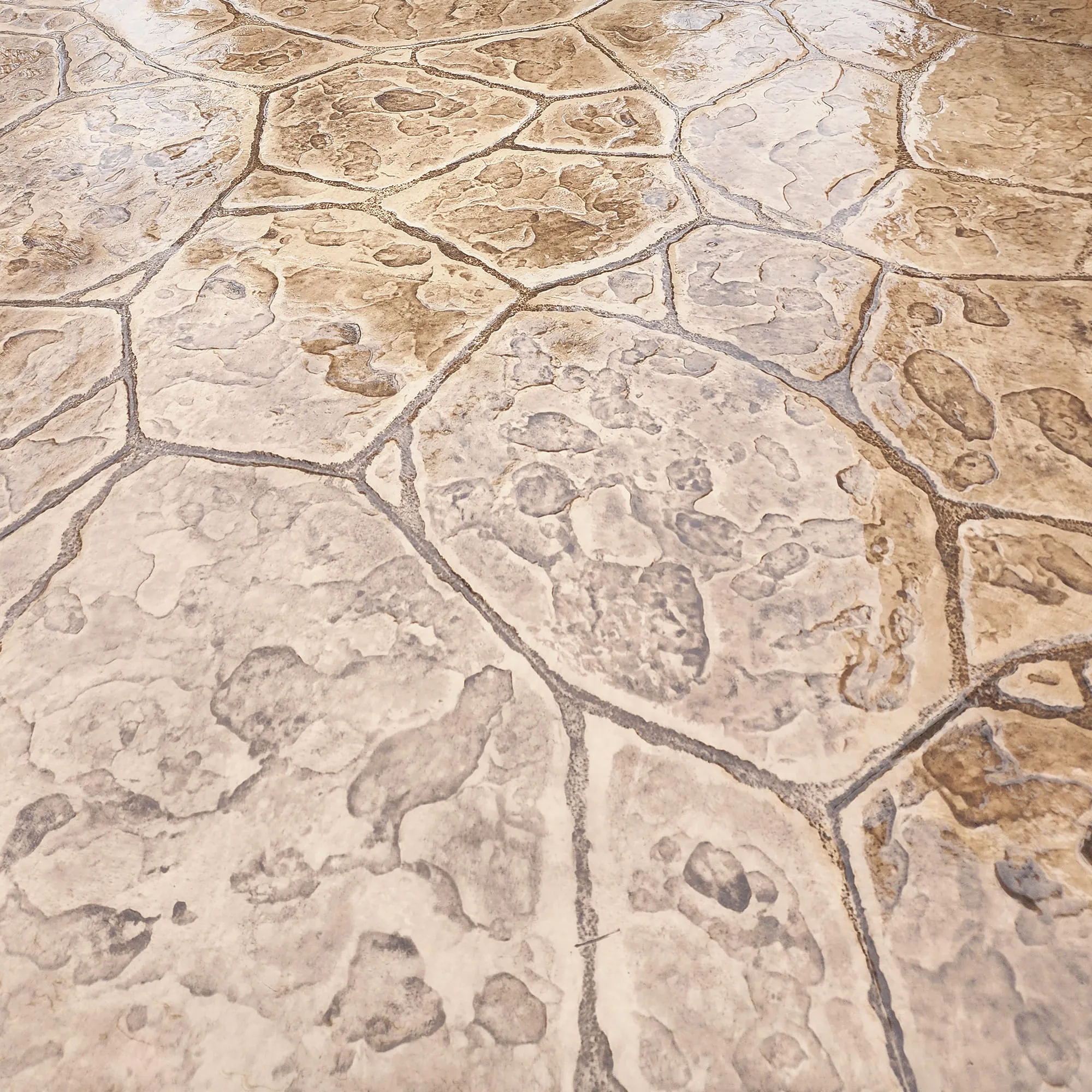 1770895933-Desert-Flagstone_Decorative-Concrete-Texture-Stamps-by-Deco-Crete_Installation-Pic_21_1.webp